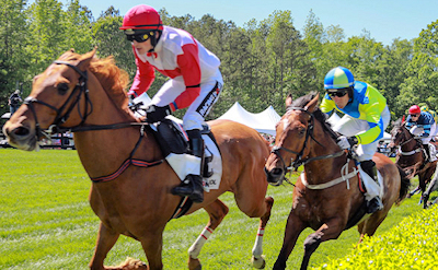 Queen's Cup Steeplechase