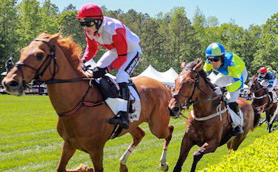 Queens Cup steeplechase